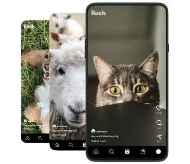 Instagram Reel Downloader