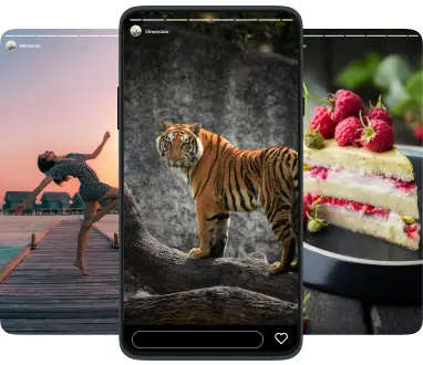 Instagram Stories Downloader